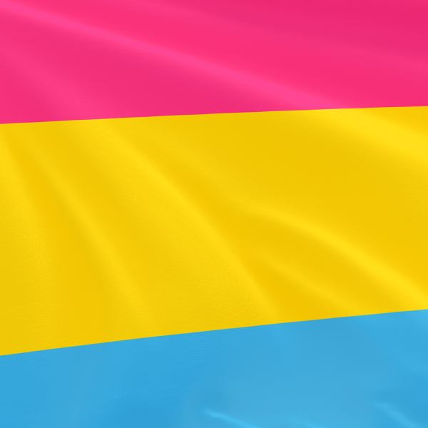 Pansexual Pride Flag Equalitee