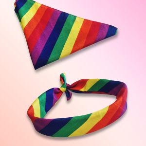 Rainbow Bandana