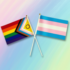 Pride Hand Flag